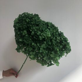 DIY Living Room Table Decoration Decoration Decoration Yongsheng Flower (Option: Dark Green-20 25cm)